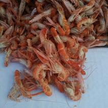 明虾食用冻虾26~30只/kg
