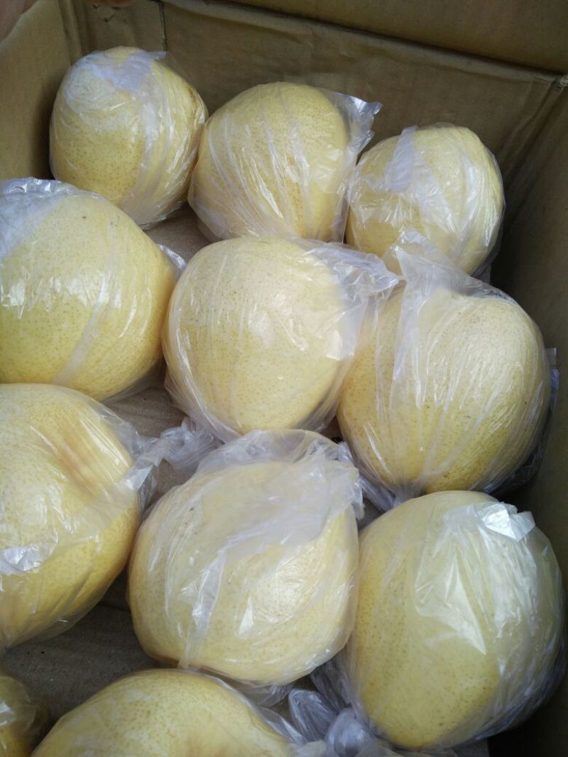 酥梨膜袋精品包装大量有货有需要的老板200g起步