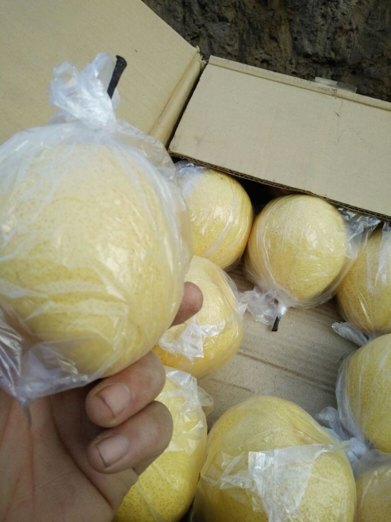 酥梨膜袋精品包装大量有货有需要的老板200g起步