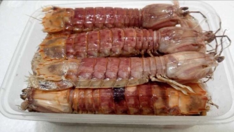 皮皮虾
