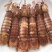 皮皮虾