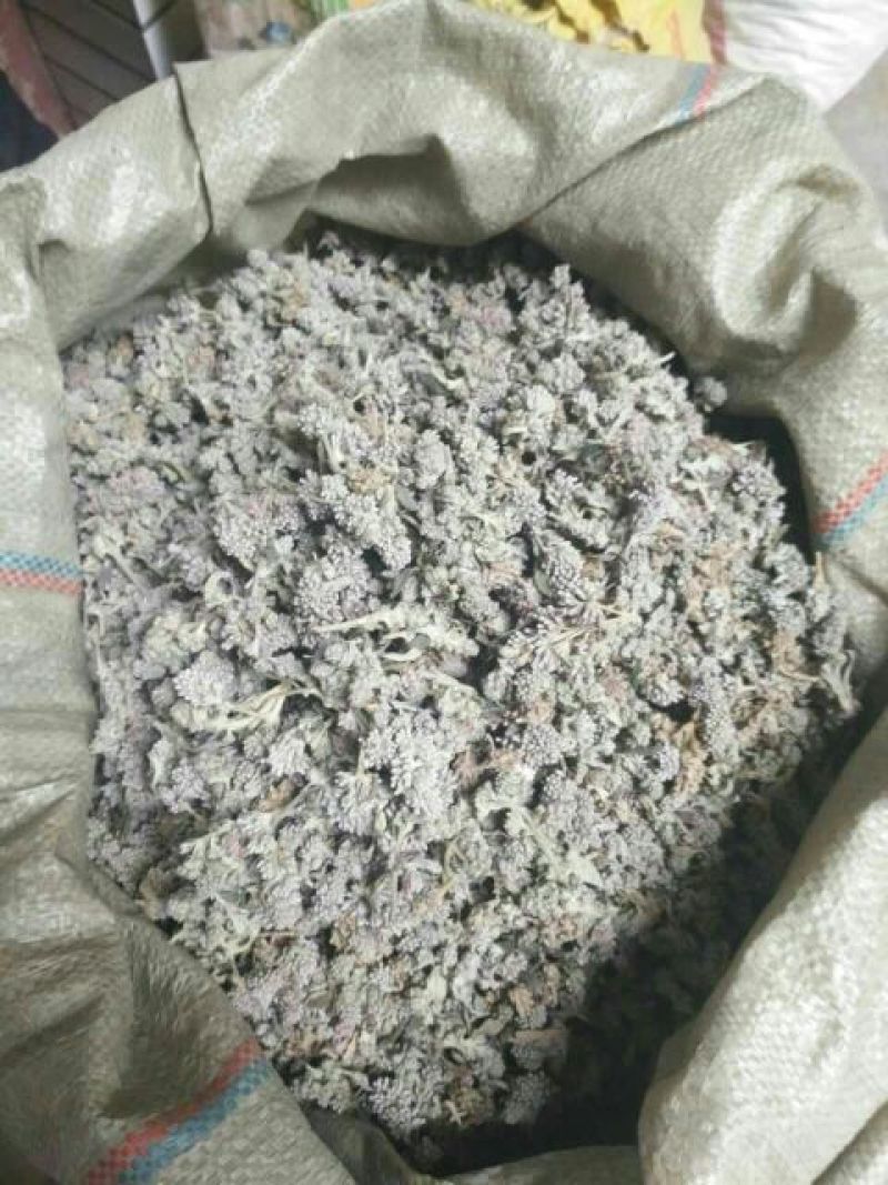 中药材野生密蒙花，新花上市中，只做生态搬运工