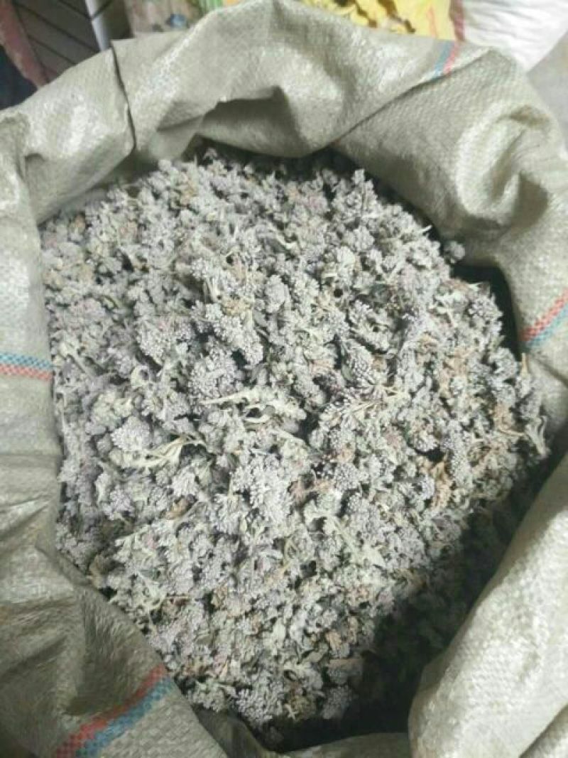 中药材野生密蒙花，新花上市中，只做生态搬运工