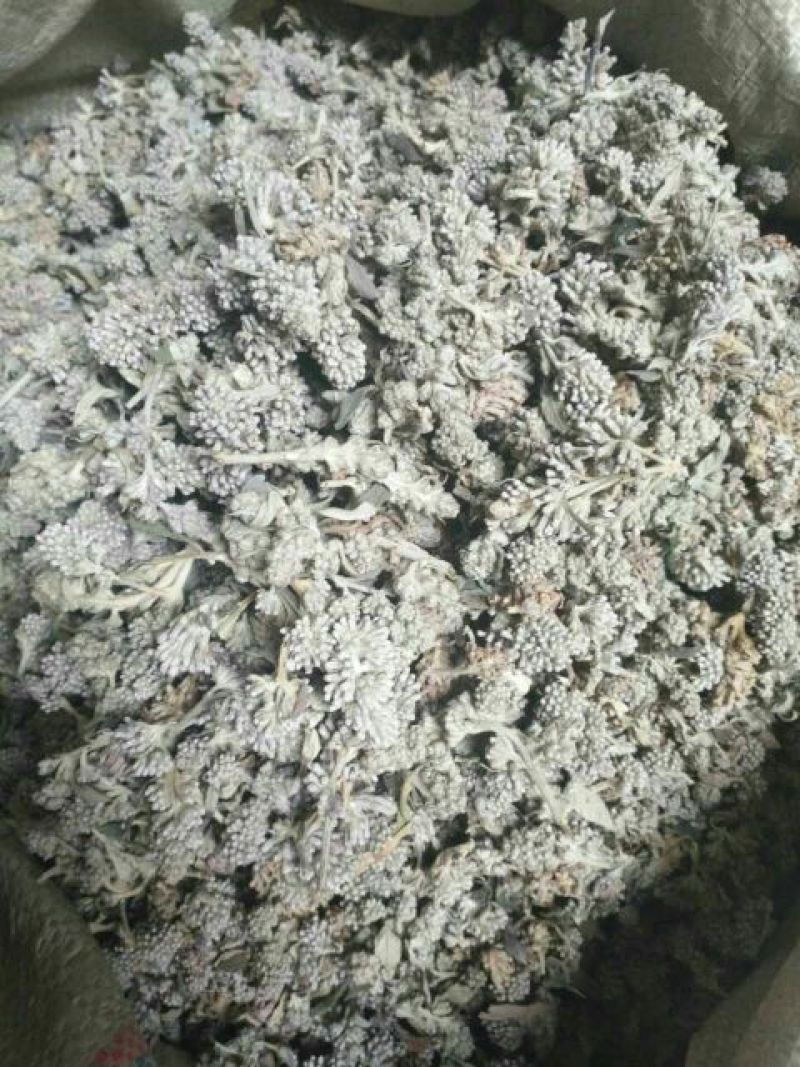 中药材野生密蒙花，新花上市中，只做生态搬运工