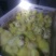 三花鹅苗250g