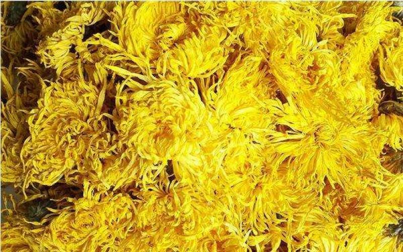 皇菊茶特级