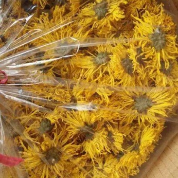 皇菊茶特级