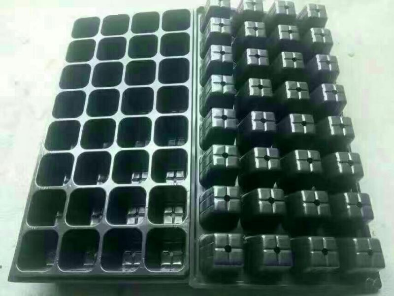 穴盘32孔