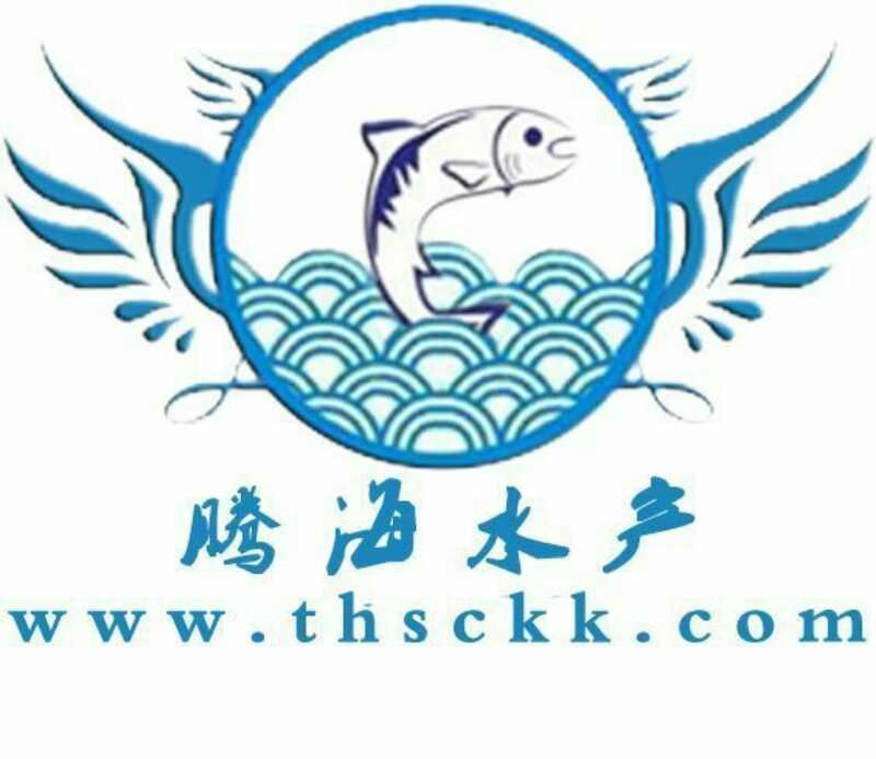 鲶鱼苗+沟鲶鱼苗+土鲶鱼苗基地直供+本地黄鲶鱼苗批发