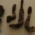 锁阳统货