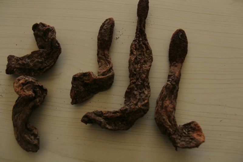 锁阳统货