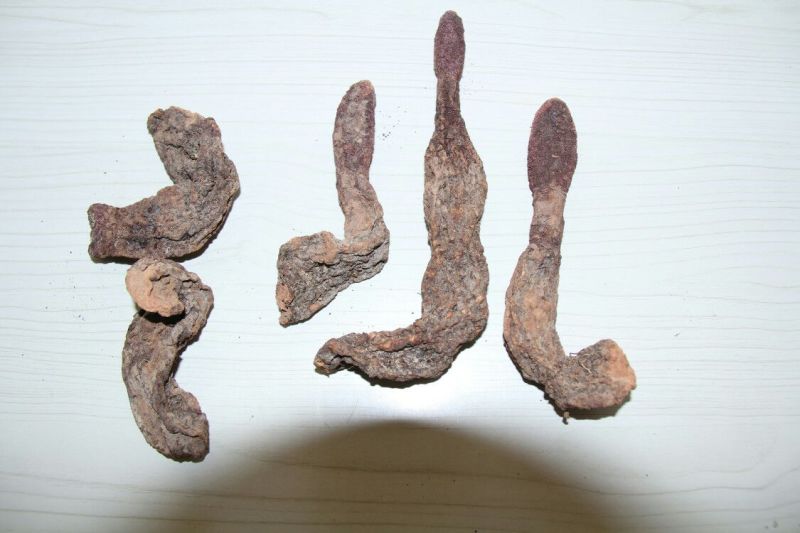 锁阳统货