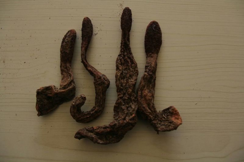 锁阳统货