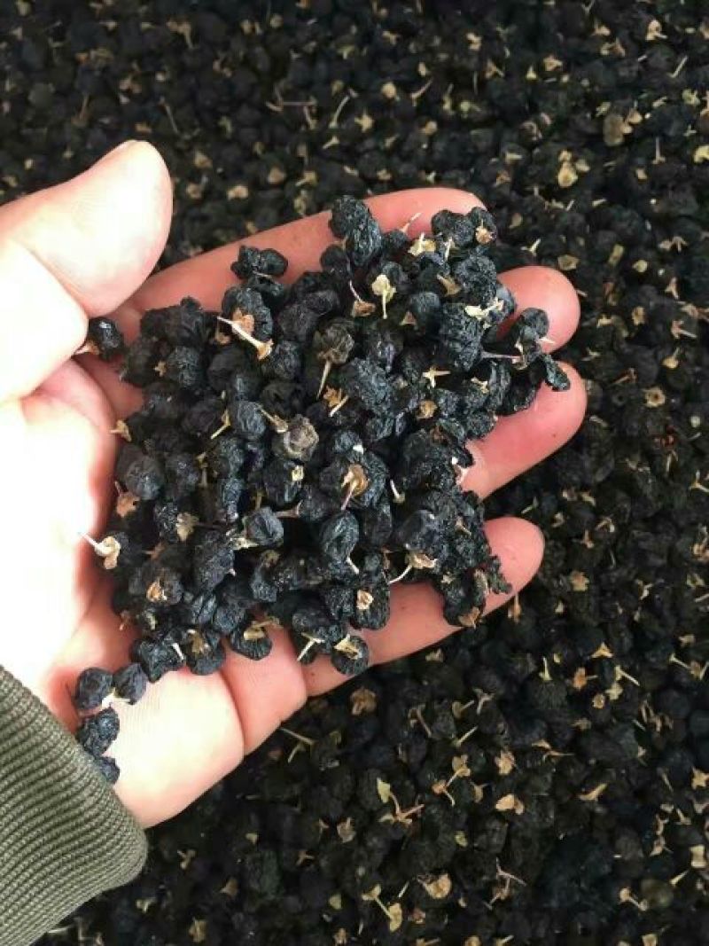 黑枸杞头茬干货