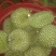 干荛榴莲干尧榴莲