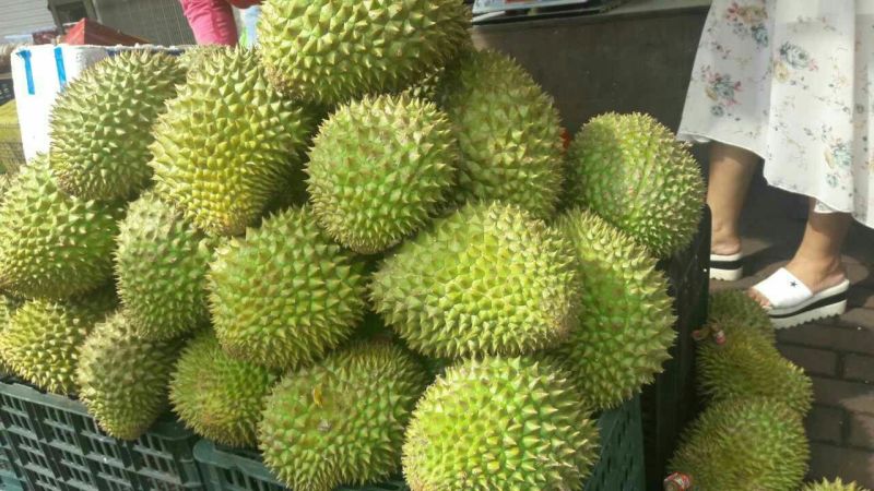 干荛榴莲干尧榴莲