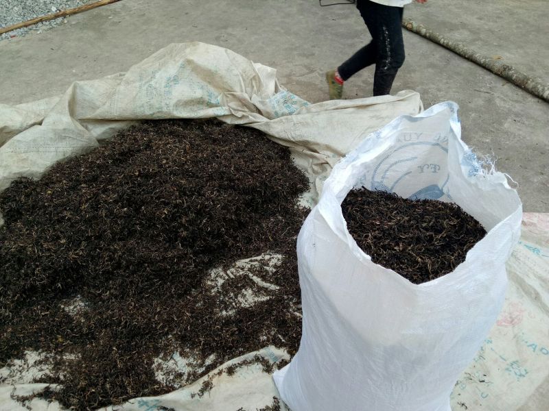 百年大树茶一级