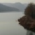 玫瑰酱