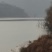 玫瑰酱