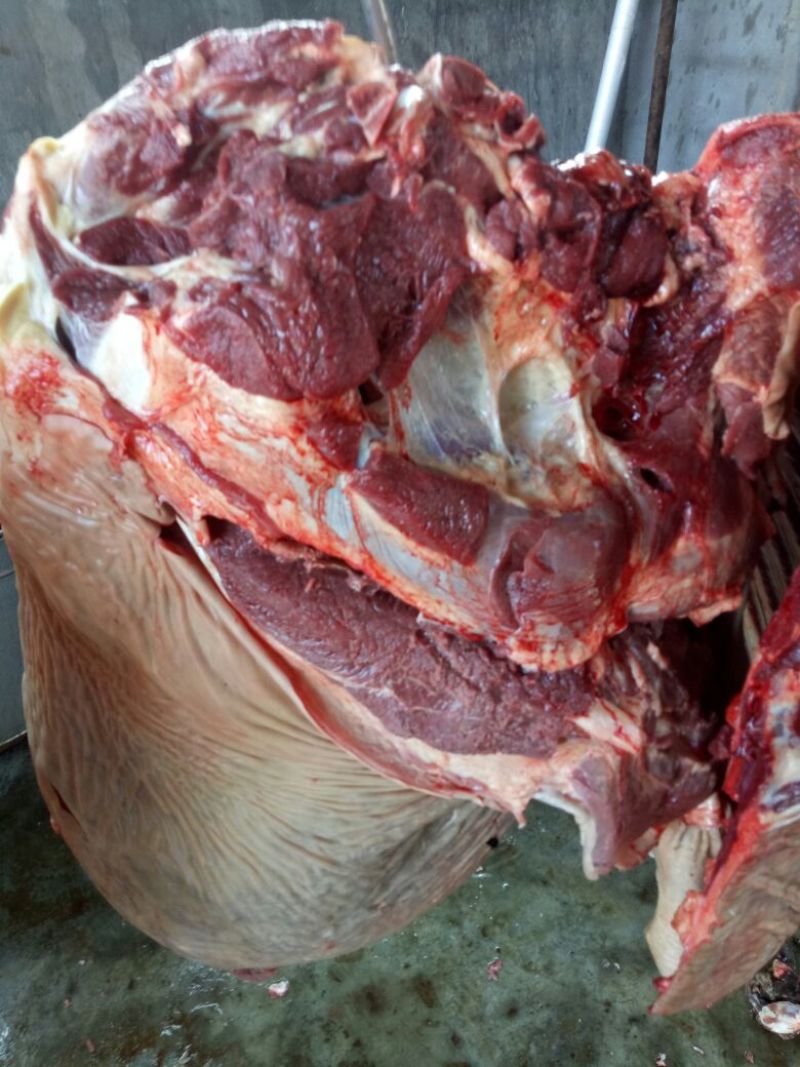 马肉鲜货