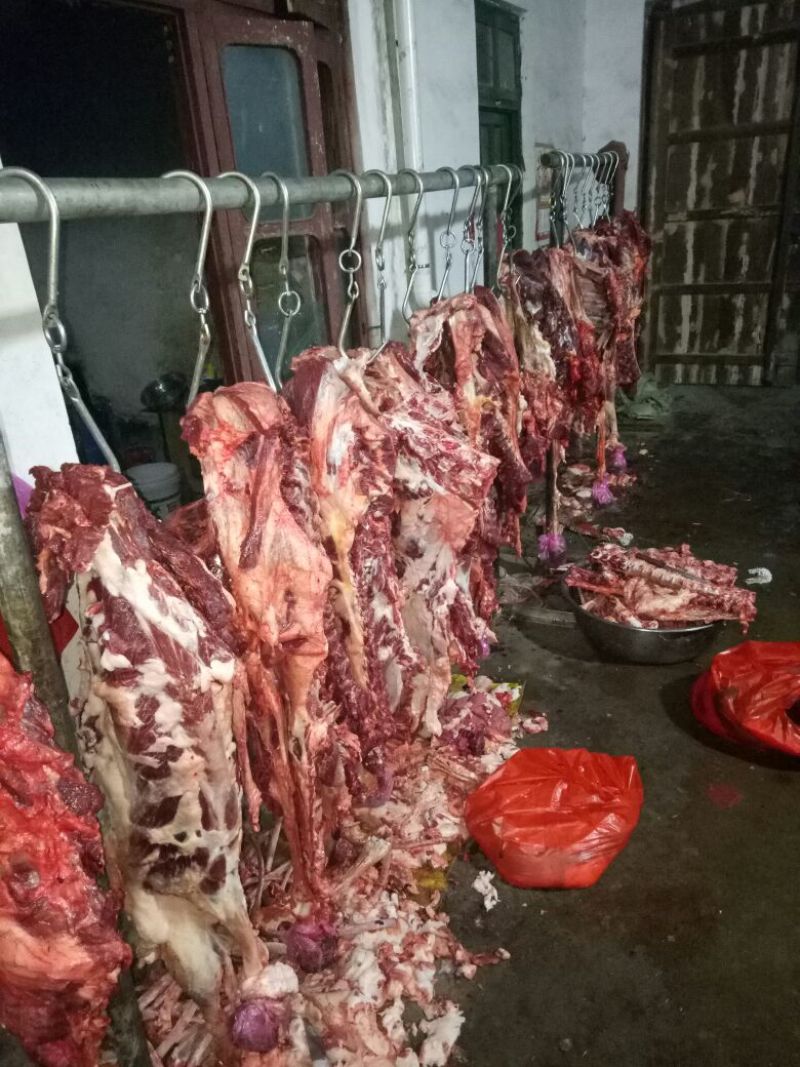 马肉鲜货