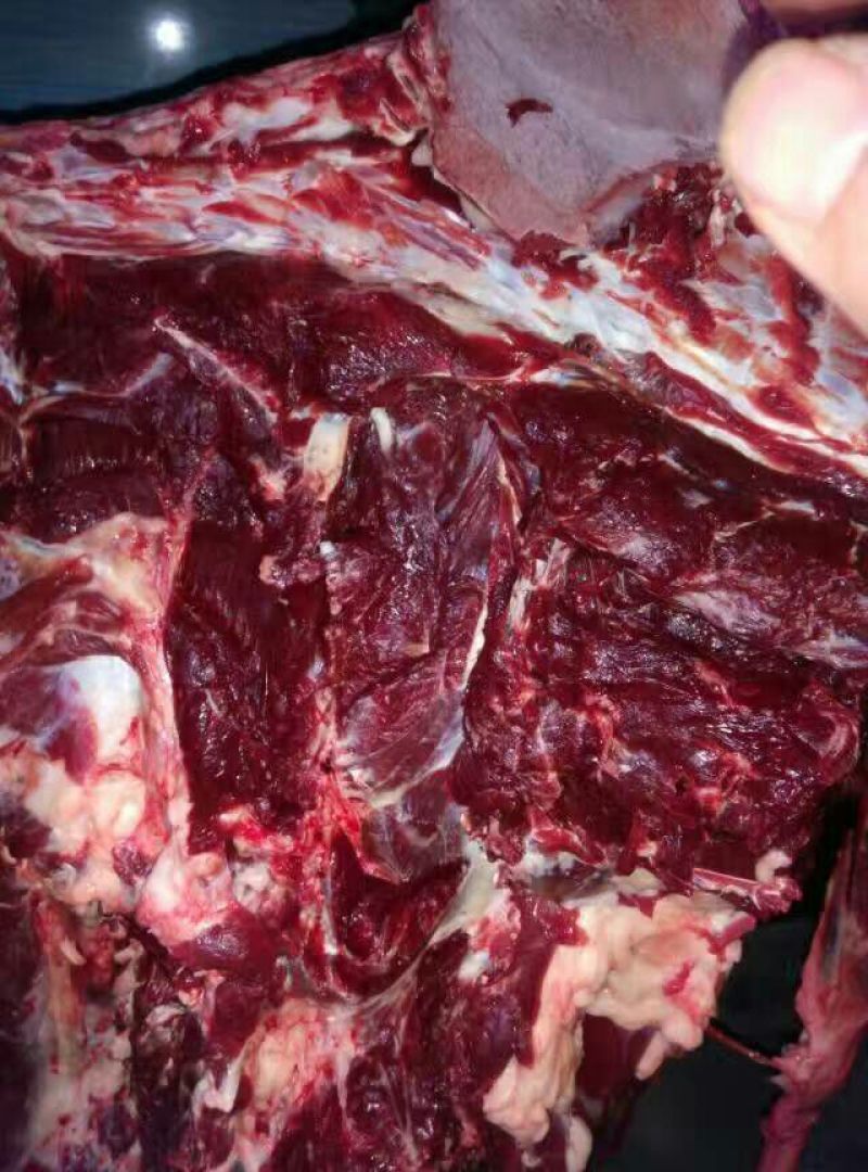 马肉鲜货
