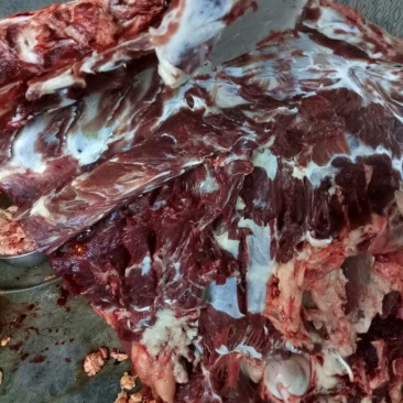 马肉鲜货