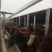肉马200~300kg