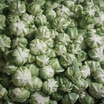 白花菜花紧密乳白1斤，货源充足，质量保证，欢迎大家