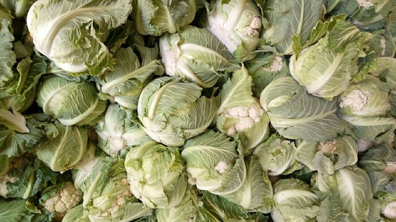 白花菜花紧密乳白1斤，货源充足，质量保证，欢迎大家