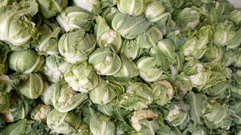 白花菜花紧密乳白1斤，货源充足，质量保证，欢迎大家