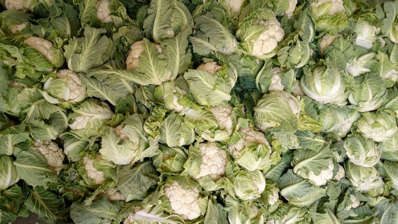 白花菜花紧密乳白1斤，货源充足，质量保证，欢迎大家