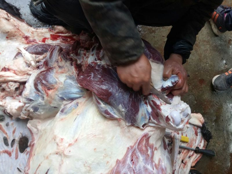 【推荐】厂家直销新鲜卤肉，纯黑驴肉，自己饲养，保质保量