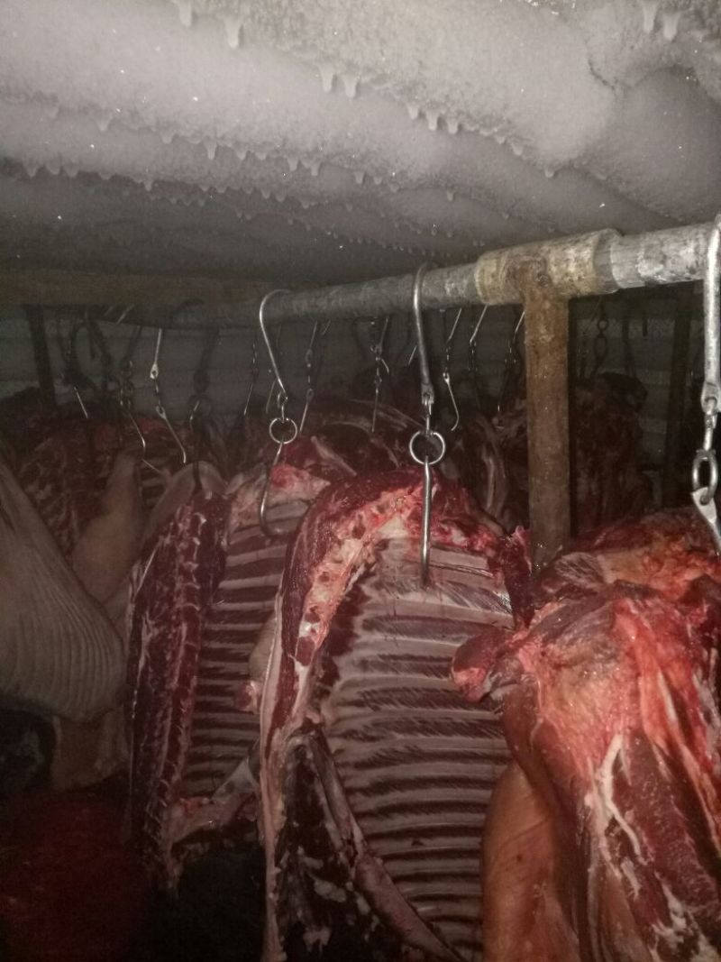【推荐】厂家直销新鲜卤肉，纯黑驴肉，自己饲养，保质保量