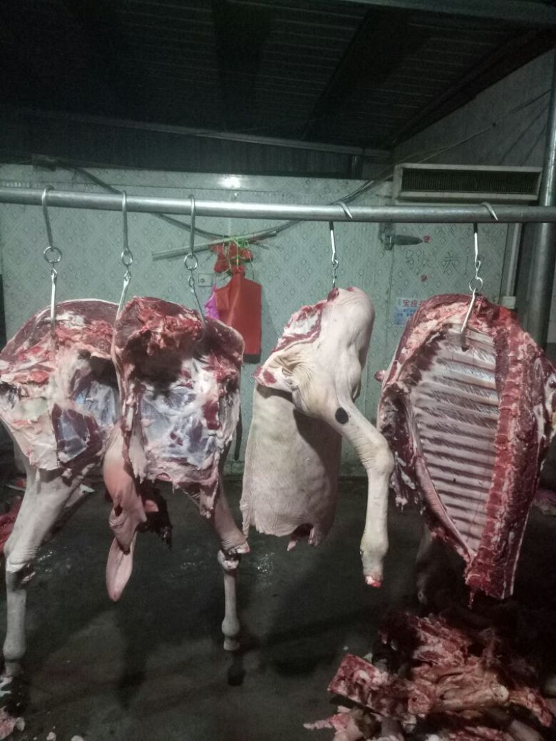 【推荐】厂家直销新鲜卤肉，纯黑驴肉，自己饲养，保质保量