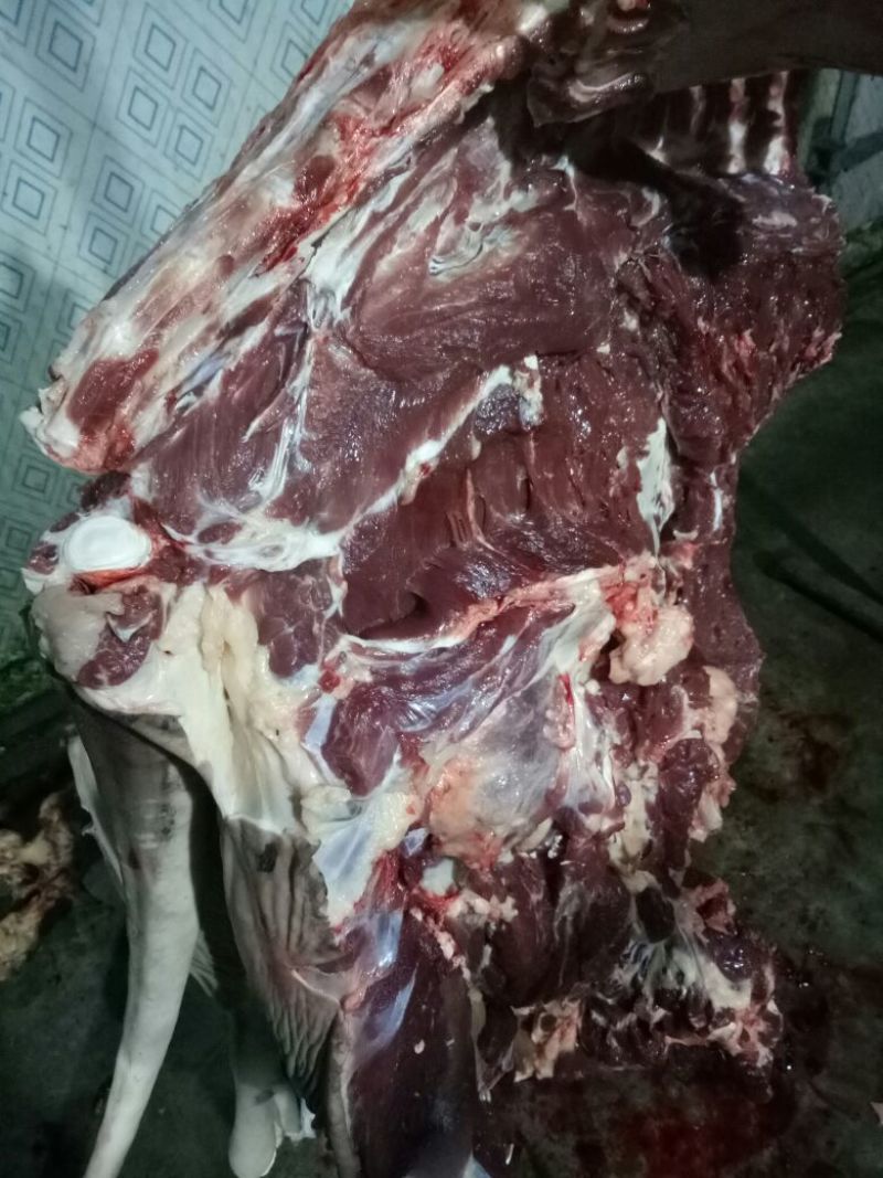 【推荐】厂家直销新鲜卤肉，纯黑驴肉，自己饲养，保质保量