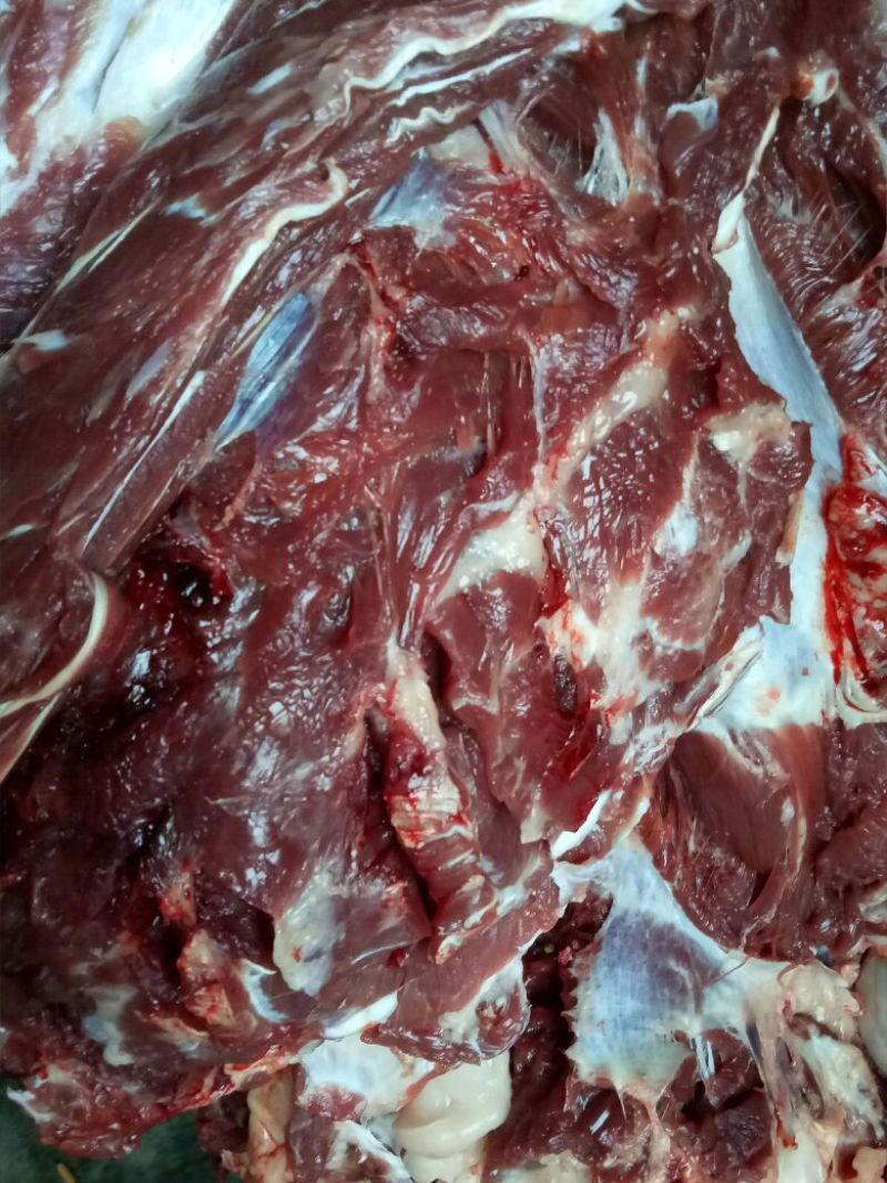 【推荐】厂家直销新鲜卤肉，纯黑驴肉，自己饲养，保质保量