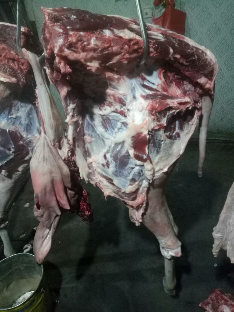【推荐】厂家直销新鲜卤肉，纯黑驴肉，自己饲养，保质保量