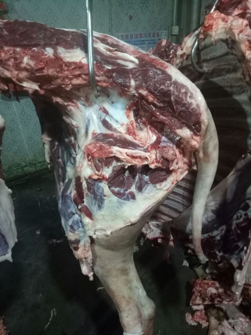 【推荐】厂家直销新鲜卤肉，纯黑驴肉，自己饲养，保质保量