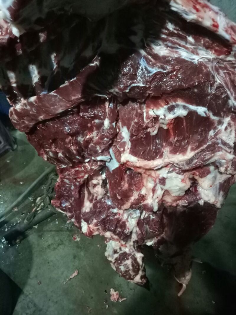 【推荐】厂家直销新鲜卤肉，纯黑驴肉，自己饲养，保质保量