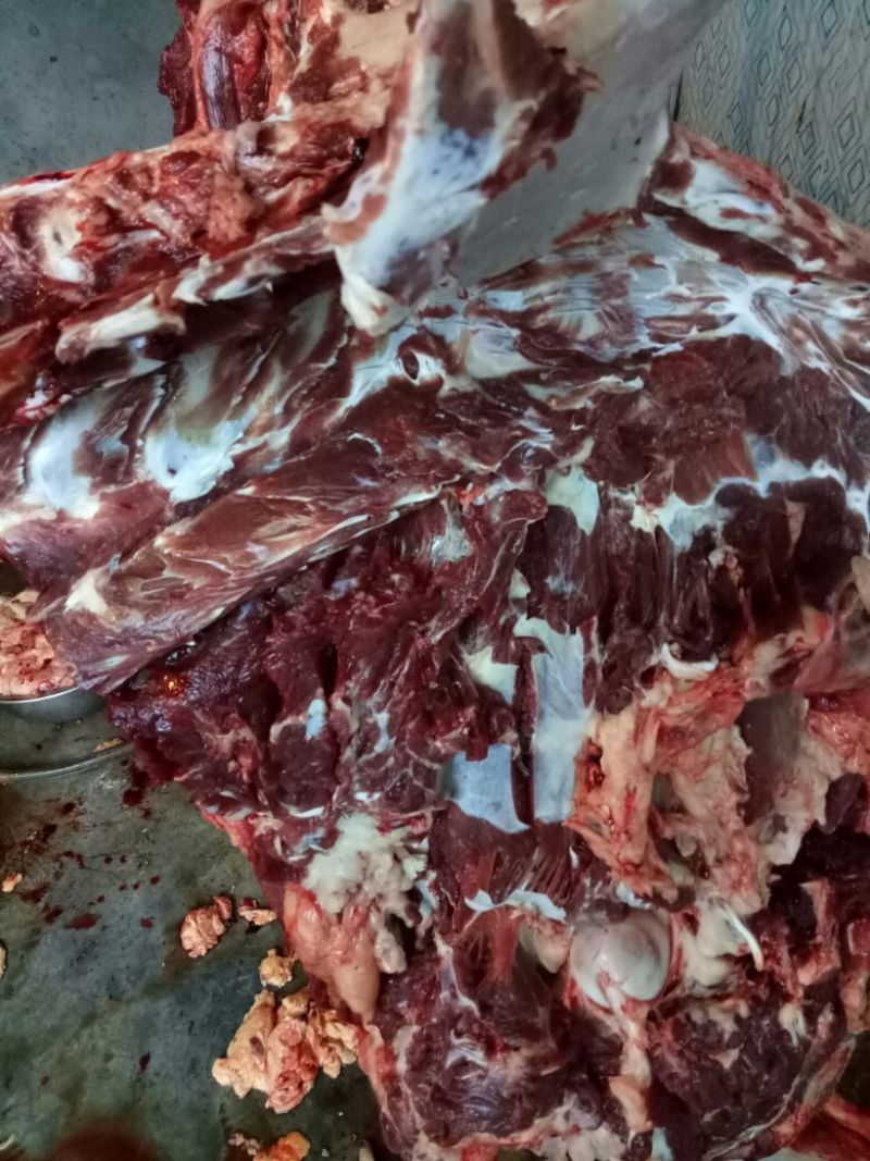 【推荐】厂家直销新鲜卤肉，纯黑驴肉，自己饲养，保质保量