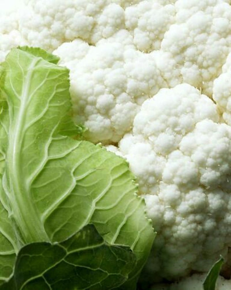 白花菜花紧密乳白2斤