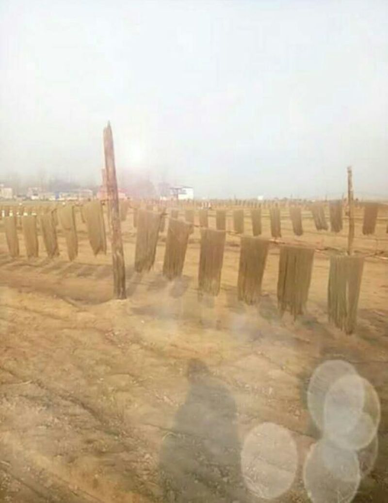 纯红薯粉条细粉礼盒包装特产送礼假一赔万