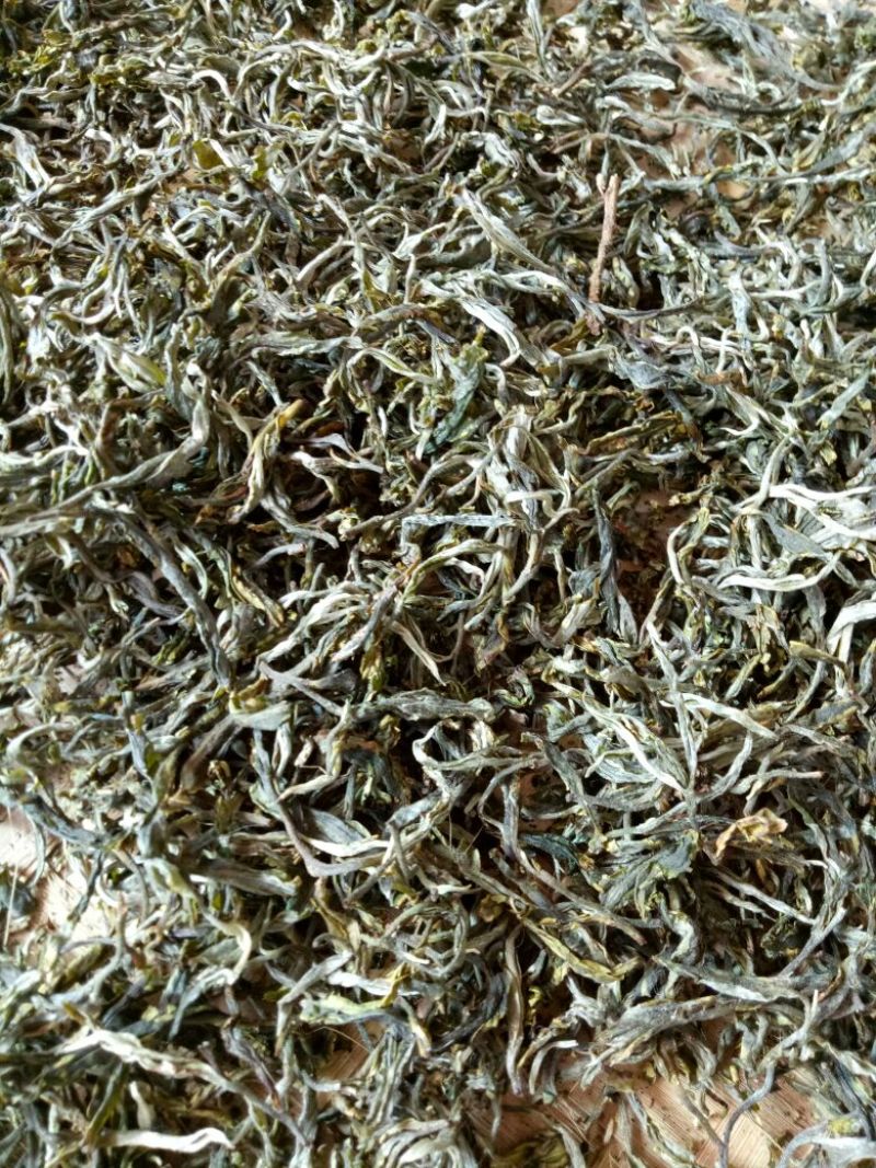 百年大树茶一级
