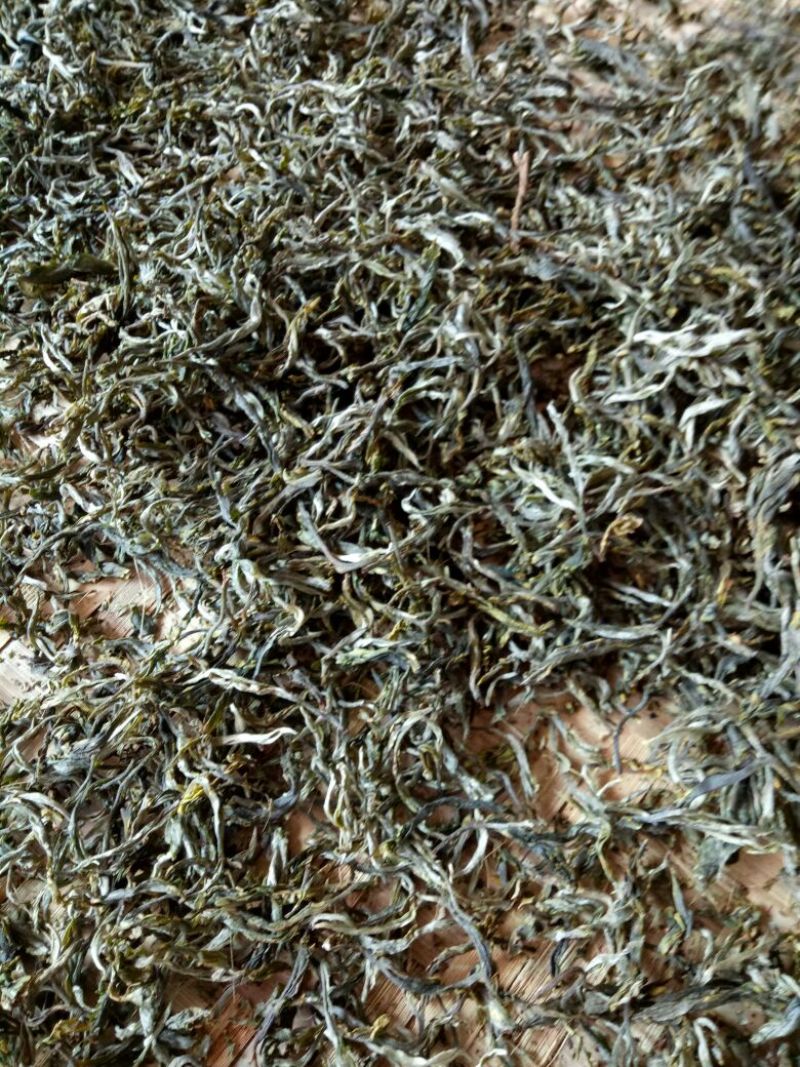 百年大树茶一级