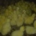 三花鹅苗250g以下