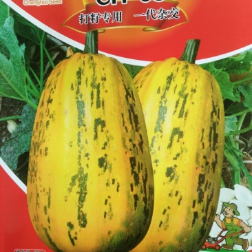 葫芦种子