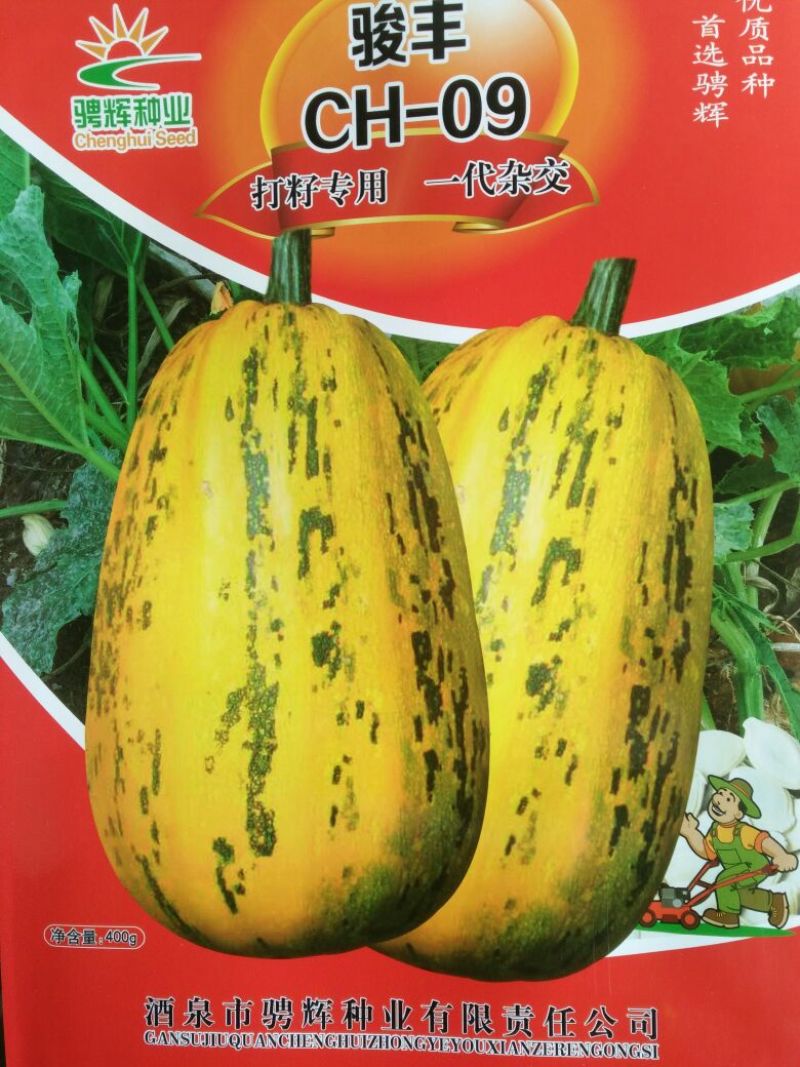 葫芦种子