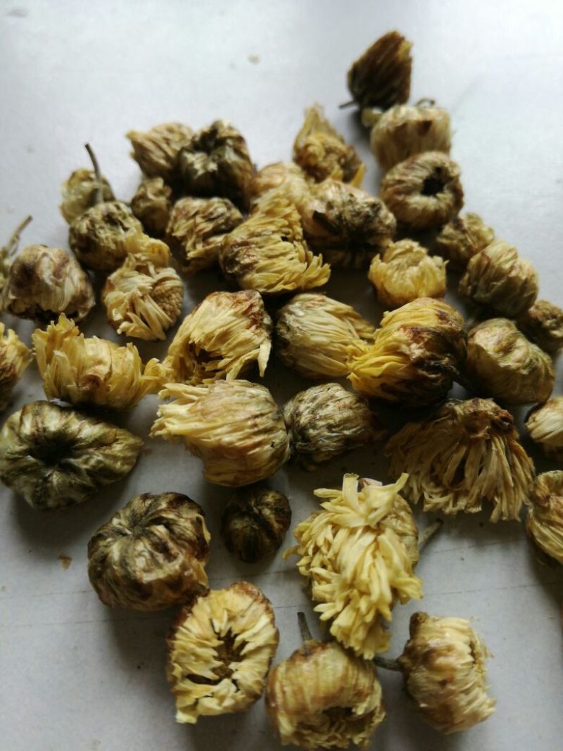 菊花茶特级