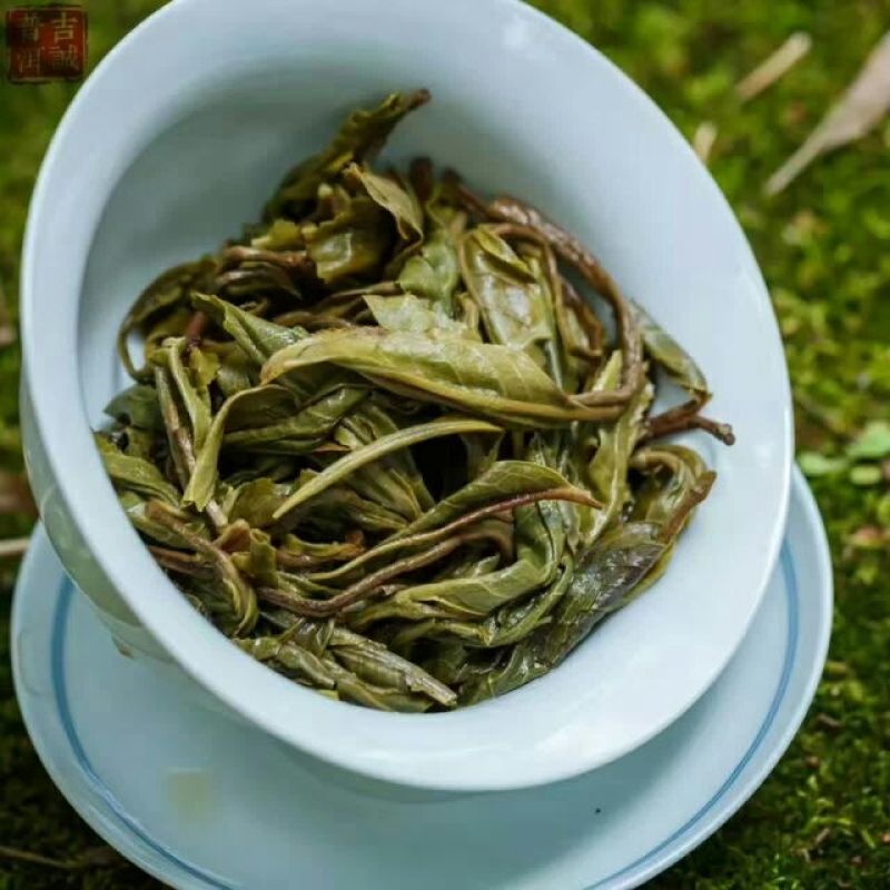 古树普洱茶特级
